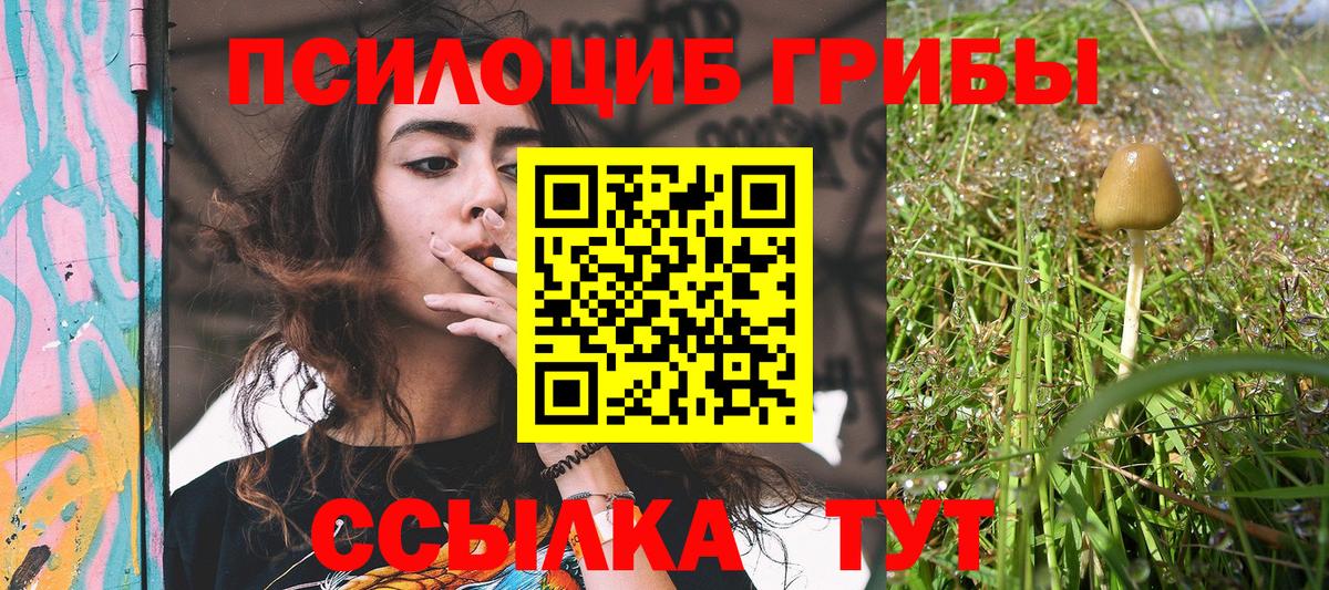 Галлюциногенные грибы MAGIC MUSHROOMS  Псилоцибиновые грибы Magic Shrooms  как найти наркотики  Вход с VPN  Кириши 