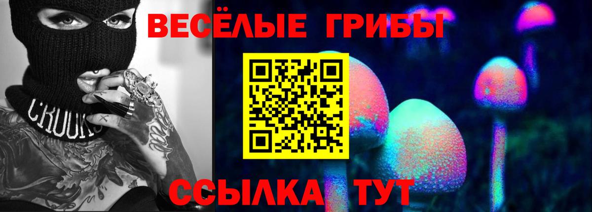 Псилоцибиновые грибы мицелий Кириши